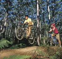 Leeuwin-Naturaliste National Park - Cowaramup - Accommodation Brisbane