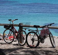 Parker Point Marine Snorkel Trail - Accommodation Brisbane