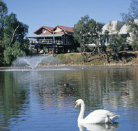 White Swans - Accommodation Brisbane