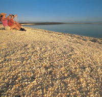 Shell Beach - Accommodation Brisbane