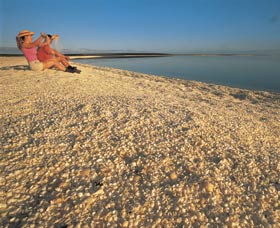 Shell Beach - Accommodation Brisbane 0
