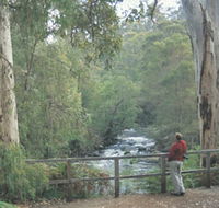Cascades - Accommodation Brisbane