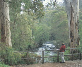Cascades - Accommodation Brisbane 0