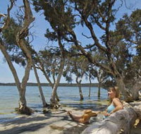 Stokes National Park - Accommodation Brisbane