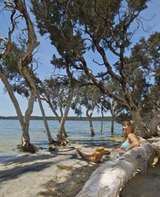 Stokes National Park - Accommodation Brisbane 0