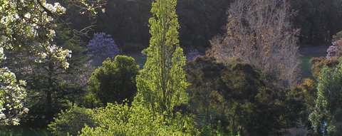 Golden Valley Tree Park - Accommodation Brisbane 3