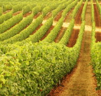 Cullen Wines - Accommodation Brisbane