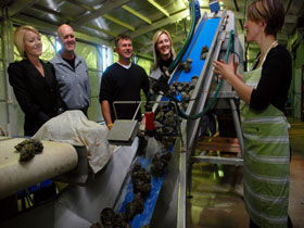 Eyre Peninsula's Seafood Trail - Accommodation Brisbane 0