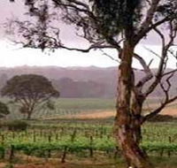 Yangarra Estate Vineyard - Accommodation Brisbane