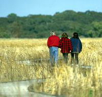 Onkaparinga River Recreation Park - Accommodation Brisbane