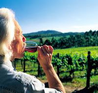 Ashton Hills Vineyard - Accommodation Brisbane