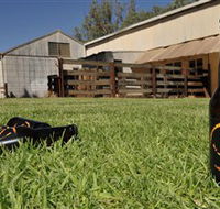 Wilkadene Woolshed Brewery - Accommodation Brisbane