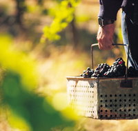 Burge Family Winemakers - Accommodation Brisbane