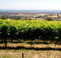 Braydun Hill Vineyard - Accommodation Brisbane