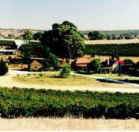 Irvine Wines - Accommodation Brisbane
