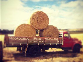 Moorooroo Park Vineyards - Accommodation Brisbane 0