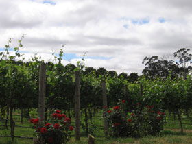  Accommodation Brisbane