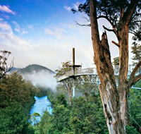Tahune Adventures Tasmania - Accommodation Brisbane