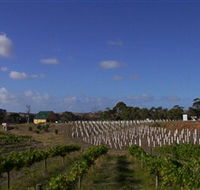 Deep Creek Wines and Alpacas - Accommodation Brisbane