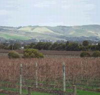 Mclaren Vale Premium Wines - Accommodation Brisbane