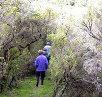 Jack And Hilda McArthur Walk - Accommodation Brisbane