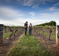 Coonawarra Wineries Walking Trail - Accommodation Brisbane