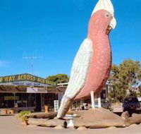 The Big Galah - Accommodation Brisbane