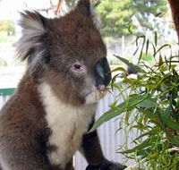 Glen-Forest Tourist Park - Accommodation Brisbane