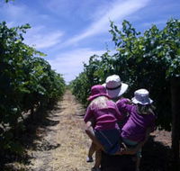 McLaren Vale Orchards - Accommodation Brisbane