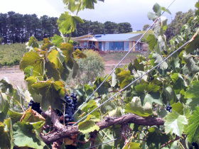Zimmermann Wine - Accommodation Brisbane 0