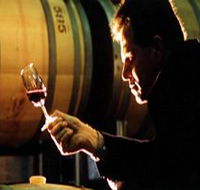 Salena Estate Wines - Accommodation Brisbane