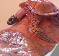 Ants Redgum Gallery - Accommodation Brisbane