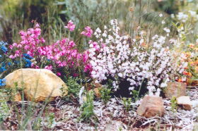 Stokes Bay Bush Garden - Accommodation Brisbane 0