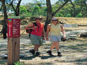 Riesling Trail - Accommodation Brisbane 0