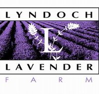 Lyndoch Lavender Farm and Cafe - Accommodation Brisbane
