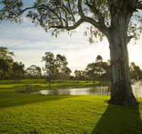 Serafino Wines - Accommodation Brisbane