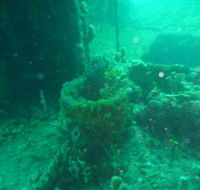 Wallaroo Scuba Club - Accommodation Brisbane