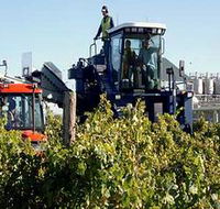 Ballast Stone Estate Wines Pty Ltd - Accommodation Brisbane