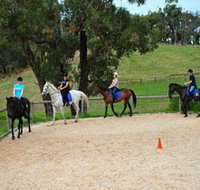 Megan Jones Riding School and Trail Rides - Accommodation Brisbane