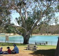 Naracoorte Nature Park and Swimming Lake - Accommodation Brisbane