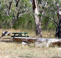 Penola Conservation Park - Accommodation Brisbane