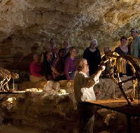 Naracoorte Caves National Park - Accommodation Brisbane