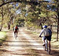 Bike About Mountain Bike Tours And Hire - Accommodation Brisbane
