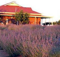Bella Lavender Estate - Accommodation Brisbane