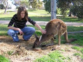 Pendleton Farmstay - Accommodation Brisbane 0