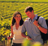 Lady Bay Vineyard - Accommodation Brisbane
