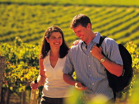 Lady Bay Vineyard - Accommodation Brisbane 0