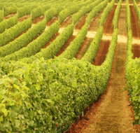 Schild Estate Wines - Accommodation Brisbane