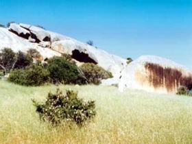 Ucontitchie Hill - Accommodation Brisbane 0