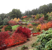 Emu Valley Rhododendron Garden - Accommodation Brisbane